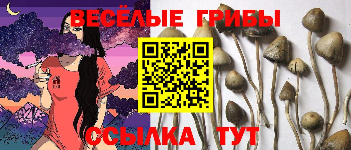 Галлюциногенные грибы Magic Shrooms  Вход с VPN  Новороссийск 